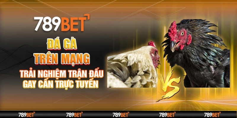Đá Gà Trên Mạng – Trải Nghiệm Trận Đấu Gay Cấn Trực Tuyến
