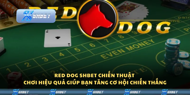 Red Dog Shbet - Chiến thuật chơi hiệu quả giúp bạn tăng cơ hội chiến thắng