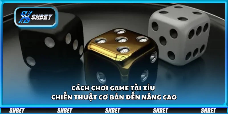 Cách chơi game Tài Xỉu – Chiến thuật cơ bản đến nâng cao
